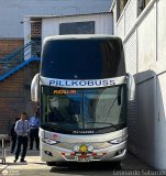 Transportes GM Internacional (Per) 967, por Leonardo Saturno