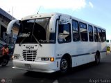S.C. L�nea Transporte Expresos Del Chama 173 por �ngel Sal�n