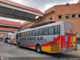 Garajes Paradas y Terminales Caracas-TerPrivCOS