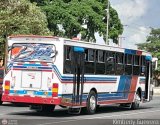 Transporte Palo Negro La Morita 2 105-A