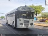 ZU - Ra�l Leoni 12 por Abner Sarcos