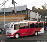 Los Rpidos S.C. 19, por Alvin Rondn