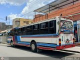 Transporte Colectivo Palo Negro 007