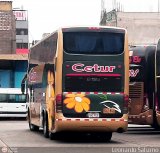 Cetur S.R.L. 951, por Leonardo Saturno