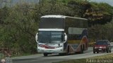 Sin identificacin o Desconocido 397