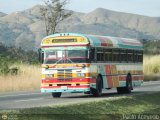 Cooperativa Canaima 37