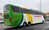 Expreso Internacional Palomino 7032
