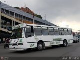Transporte El Esfuerzo 31