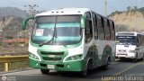 Lnea Los Caracoles (San Juan - Mrida) 31, por Leonardo Saturno