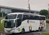 Expreso Internacional Palomino 7021