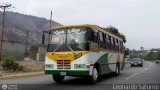 Lnea Los Caracoles (San Juan - Mrida) 21, por Leonardo Saturno