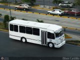 U.C. San Antonio S.C. 225, por Oliver Castillo