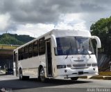 Transporte Unido (VAL - MCY - CCS - SFP) 008, por Alvin Rondn