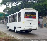 Servicios Turisticos y Transportes Ovoly