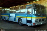 Particular PA-12