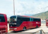 Trolmerida - Tromerca 05, por Andrs Figuera