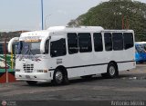 A.C. Transporte Paez 049, por Antonio Mittilo