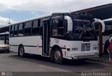 L�nea Tocar S.C. 33 por Aaron Rodr�guez