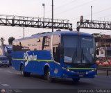 Bus Service Automotriz S.A.C. 113, por Leonardo Saturno