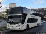 Expresos Flamingo 0071