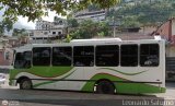 Lnea Los Caracoles (San Juan - Mrida) 46, por Leonardo Saturno