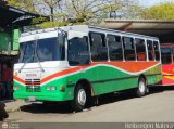 Coop. Transporte Menca de Leoni 008, por Heibregen Natera