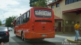 Colectivo Los Andes (Mrida - El Vigia) 11