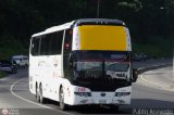 Aeroexpresos Ejecutivos 1140
