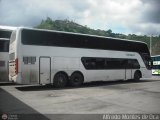 Expresos Flamingo 0095