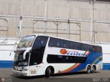 Expresos Occidente 455