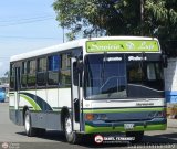 AR - Cooperativa La Pedrera 47