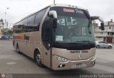 Camo Tour 723, por Leonardo Saturno