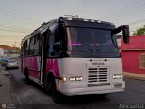 Unin Conductores Santa Ins 10, por Alex Garca