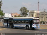 Transporte Agua Blanca 10, por J. Carlos Gmez