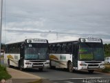 TransBolvar 121 Marcopolo Viale Mercedes-Benz OF-1721