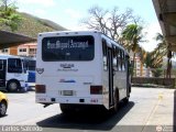 Unin de Conductores Unidos S.C. 113-A, por Carlos Salcedo