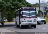 Expresos Rubio 33, por Brayan Morales 