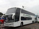 Expresos Flamingo 0116