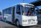 L�nea Uni�n S.C. 81