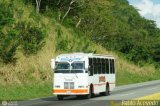 S.C. Lnea Transporte Expresos Del Chama 285, por Pablo Acevedo