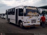 L�nea Altagracia 01, por Aaron Rodr�guez