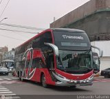 Transzela (Per)