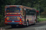 Expresos Pegamar 0019