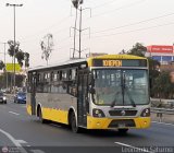 Per Bus Internacional - Corredor Amarillo 2096