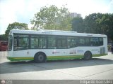 Sistema Integral de Transporte Superficial S.A 10-100, por Edgardo Gonzlez