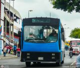 DC - Colectivos Kamaule