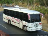 Unin Victoria 20, por Royner Tovar