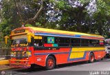 Lnea Sanare 01, por Waldir Mata