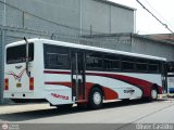 Sin identificacin o Desconocido oc208