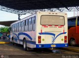 Inversiones y Servicios Virgilio Pea 05, por Ricardo Ugas